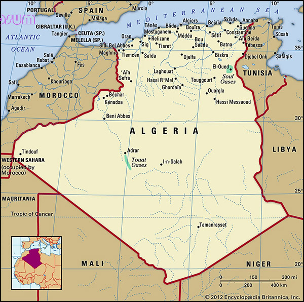 Production Line of 33KV insulators in Algeria | ContuneINTL